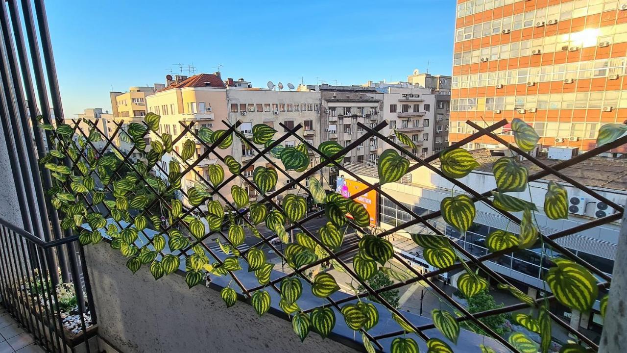 Windows City Apartment Beograd Ngoại thất bức ảnh